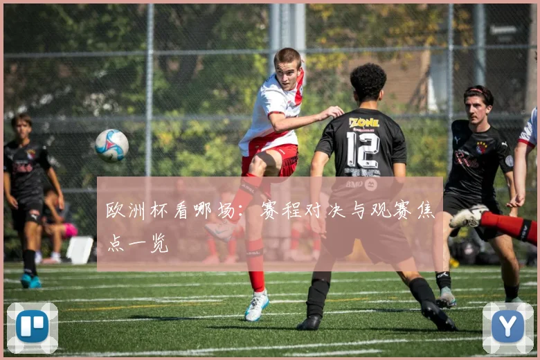 欧洲杯看哪场:赛程对决与观赛焦点一览