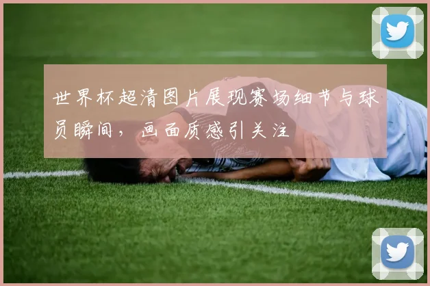 世界杯超清图片展现赛场细节与球员瞬间,画面质感引关注