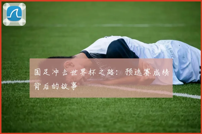 国足冲击世界杯之路：预选赛成绩背后的故事