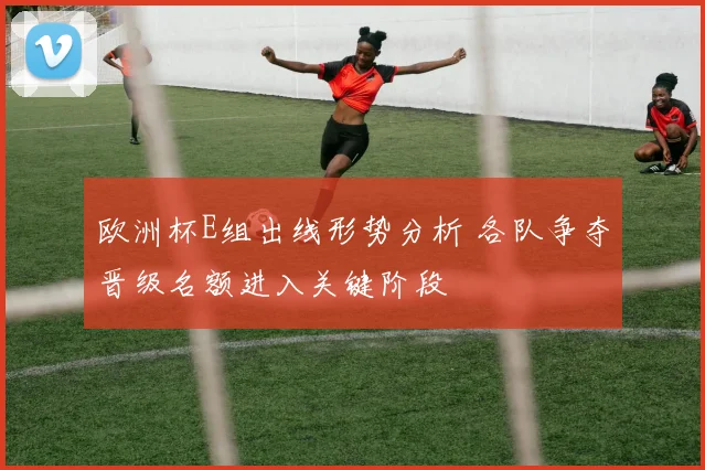 欧洲杯E组出线形势分析 各队争夺晋级名额进入关键阶段