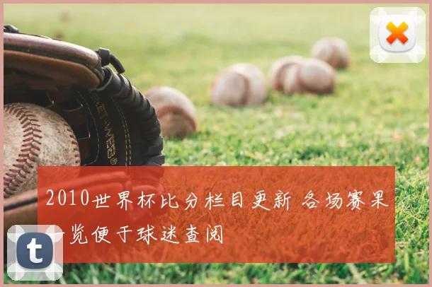 2010世界杯比分栏目更新 各场赛果一览便于球迷查阅