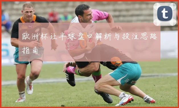 欧洲杯让半球盘口解析与投注思路指南