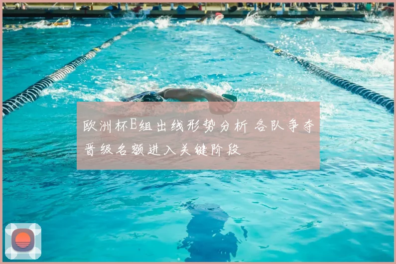 欧洲杯E组出线形势分析 各队争夺晋级名额进入关键阶段